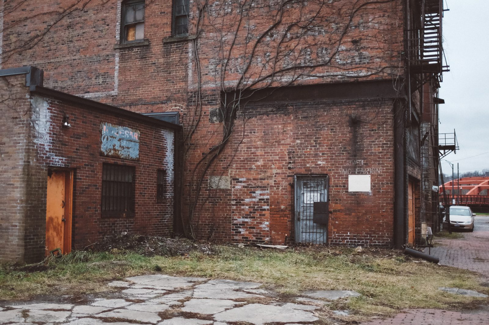 vine growing up side of gritty building