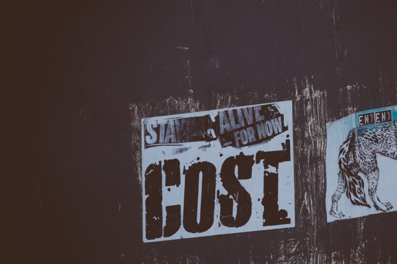 Cost