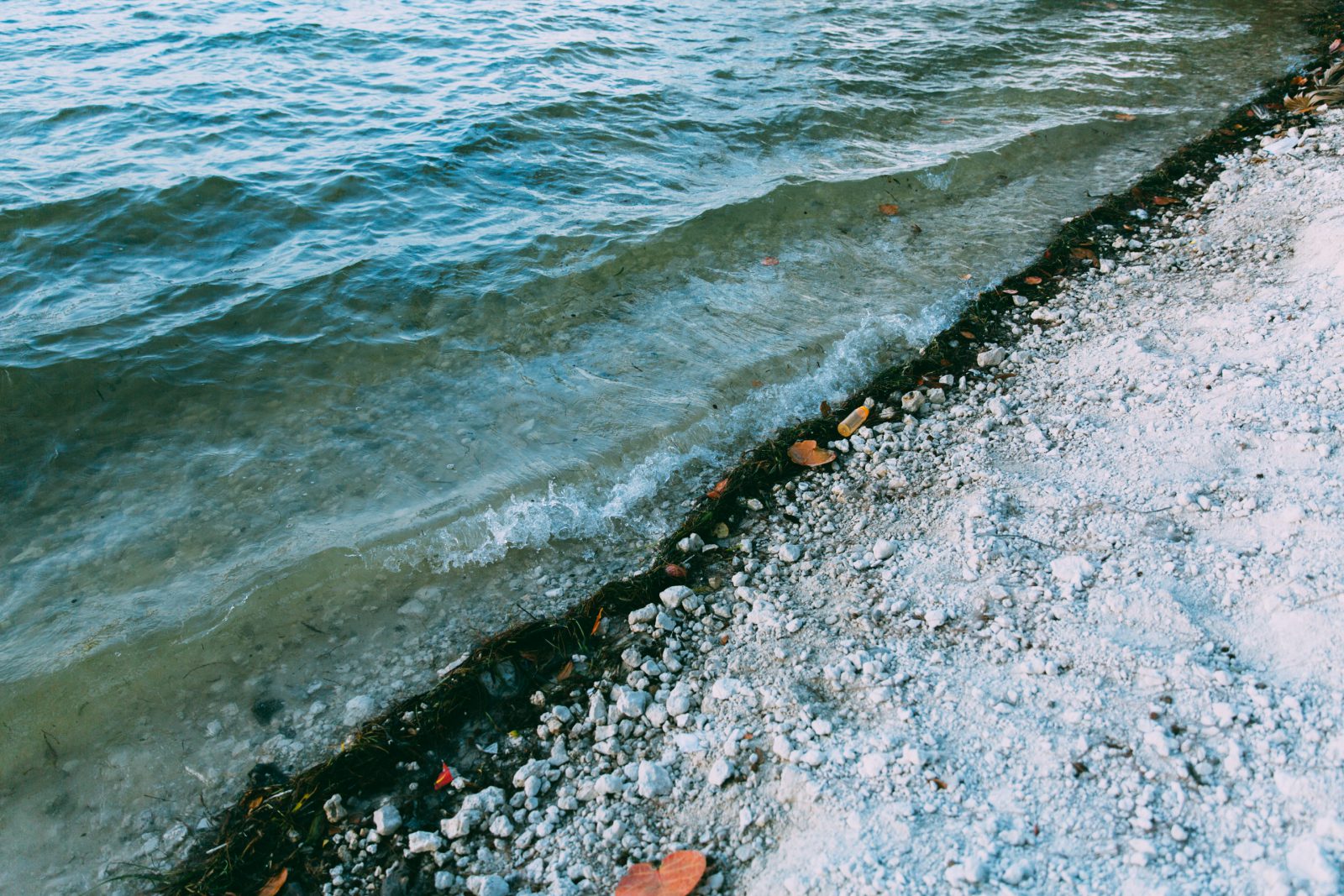 Water meets the shore